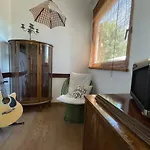 Ivancic 크리크베니카