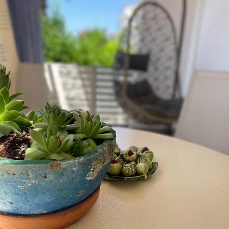 Διαμέρισμα Ivancic